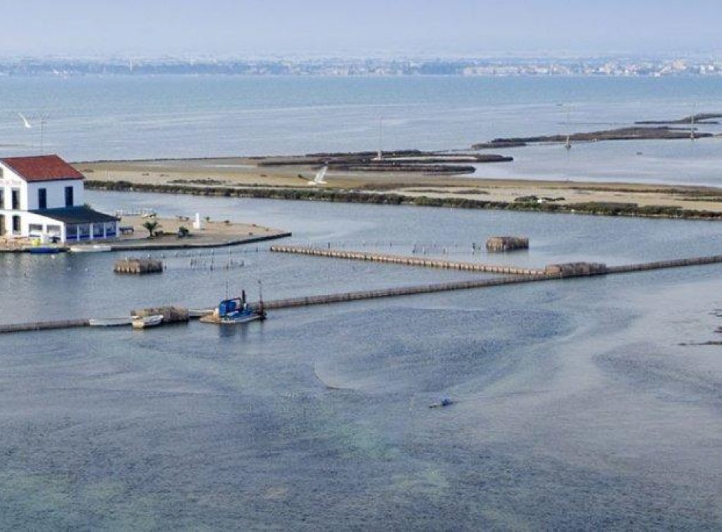 Nueva construcción  - Apartamento - San Pedro del Pinatar