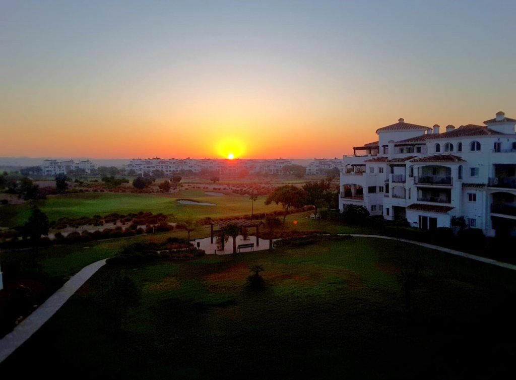 Sale - Apartment - Hacienda Riquelme Golf Resort