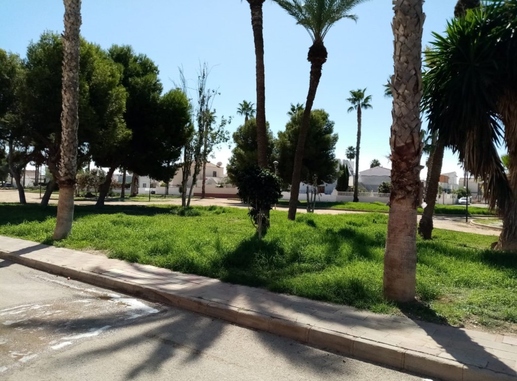 Sale - Apartment - Los Alcázares - Oasis