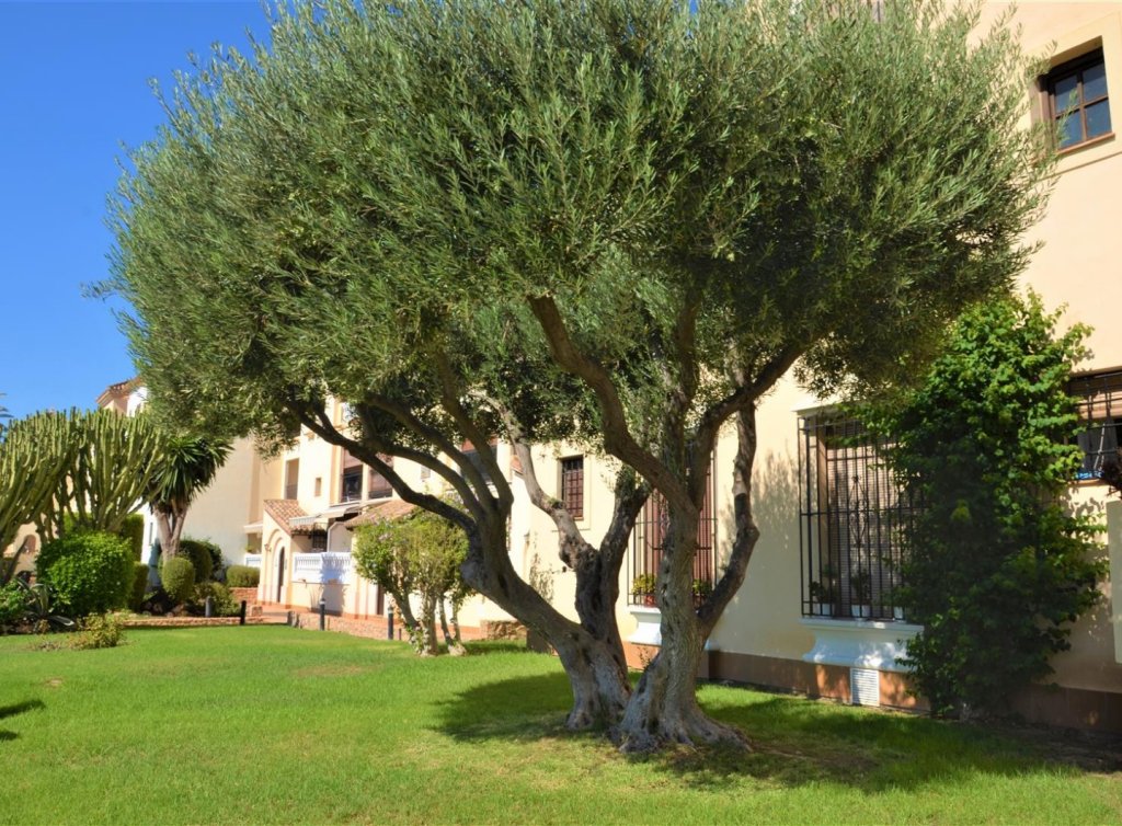 Sale - Apartment - Los Alcázares