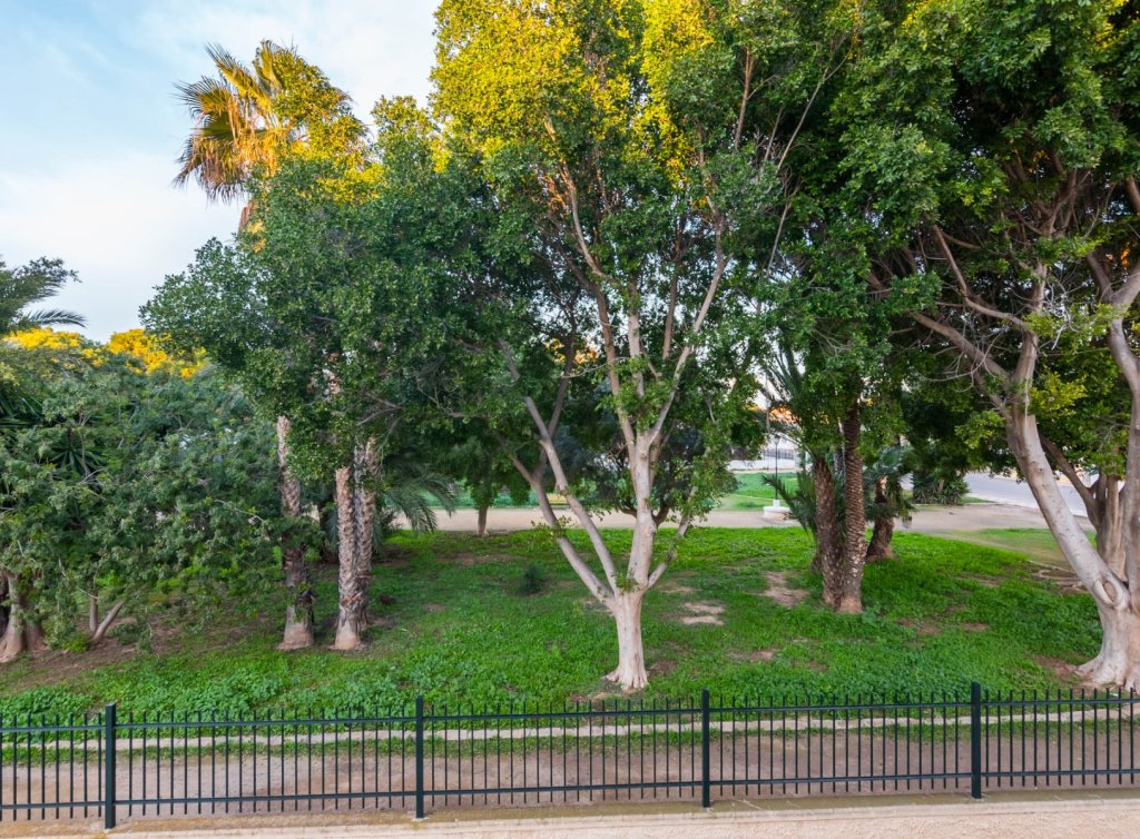 Sale - Apartment - Los Alcázares