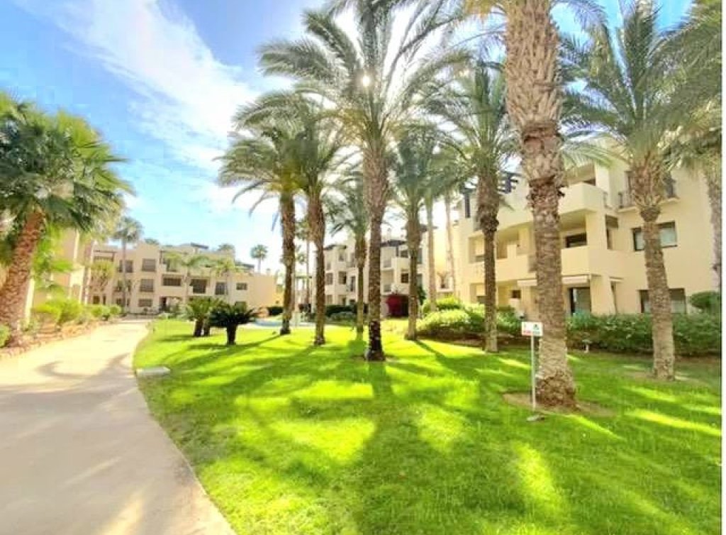 Sale - Apartment - Roda