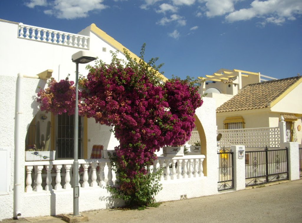 Sale - Bungalow - Los Alcázares - Oasis