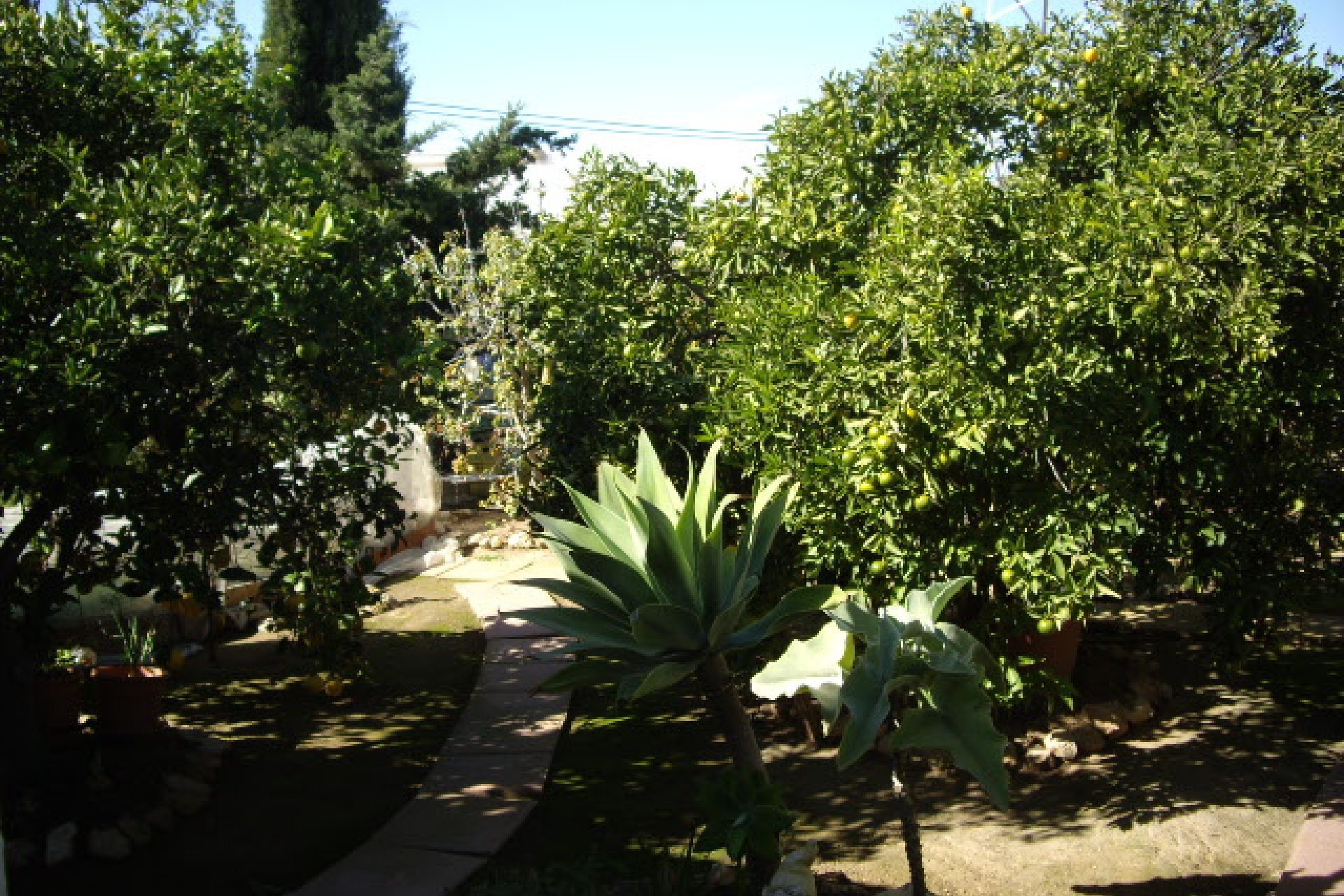 Sale - Bungalow - Roda