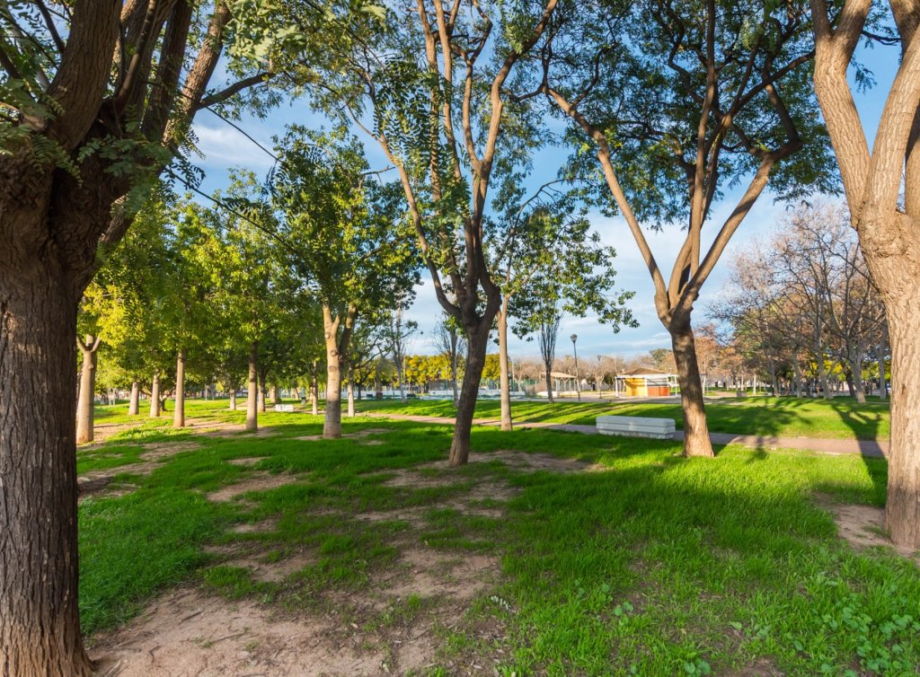 Sale - Casa - Los Alcázares