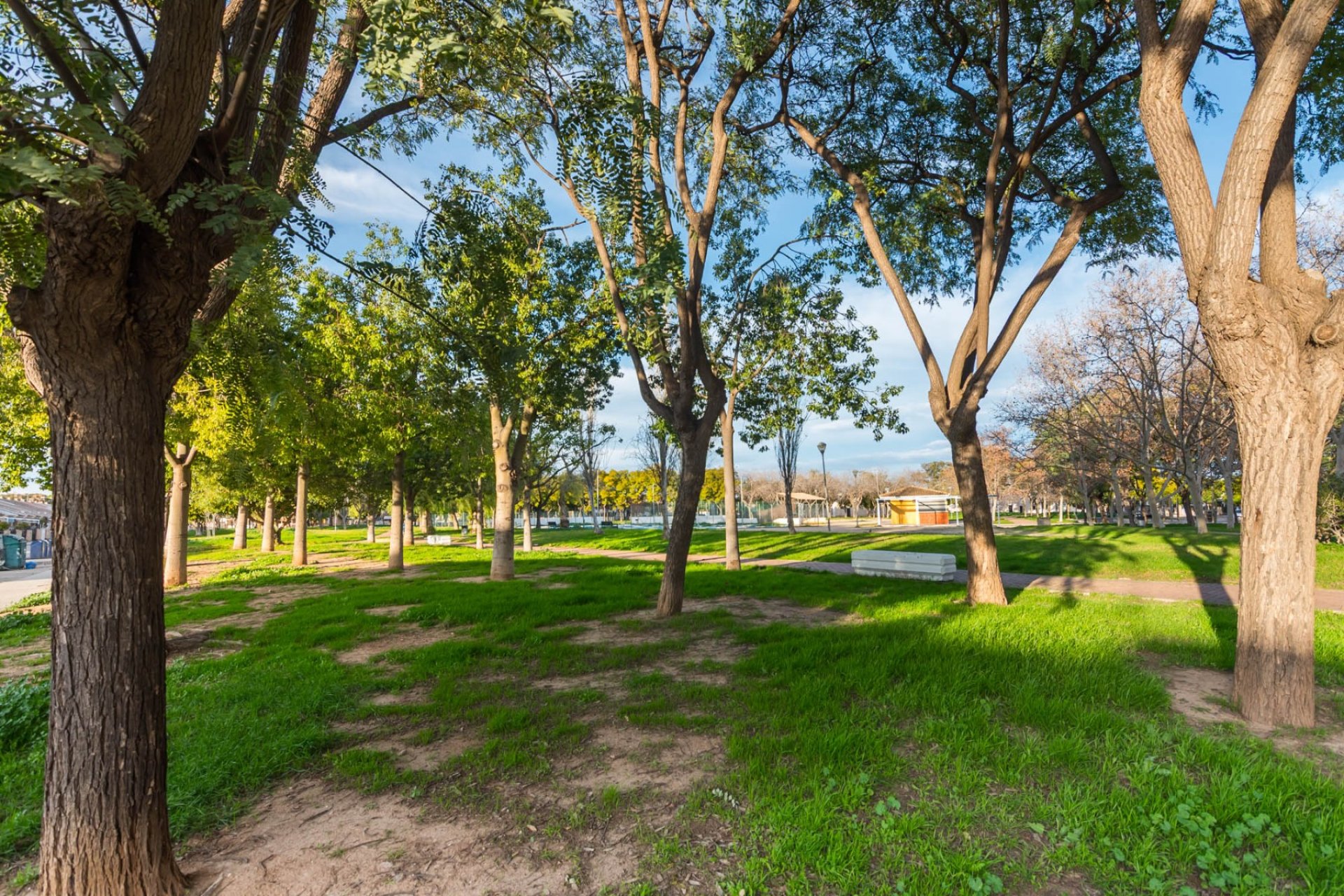 Sale - Casa - Los Alcázares