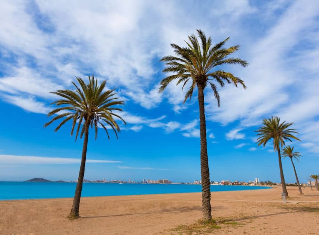 Sale - Commercial Unit - Los Alcázares