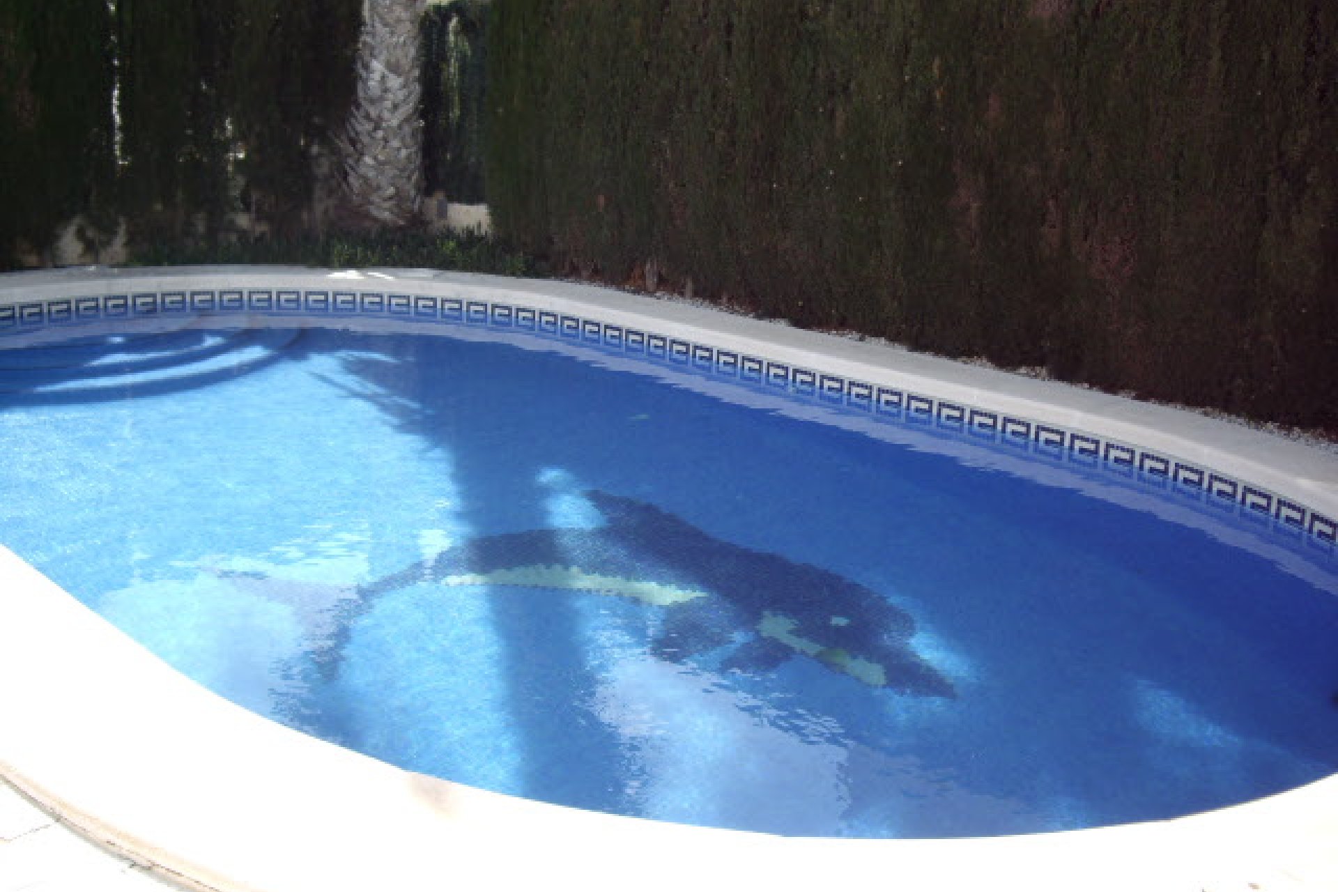 Sale - Detached Villa - Los Alcázares