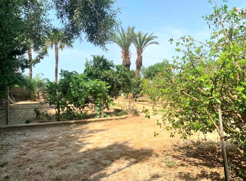 Sale - Finca - Los Alcázares