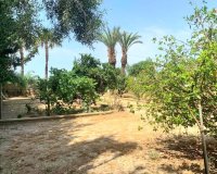 Sale - Finca - Los Alcázares