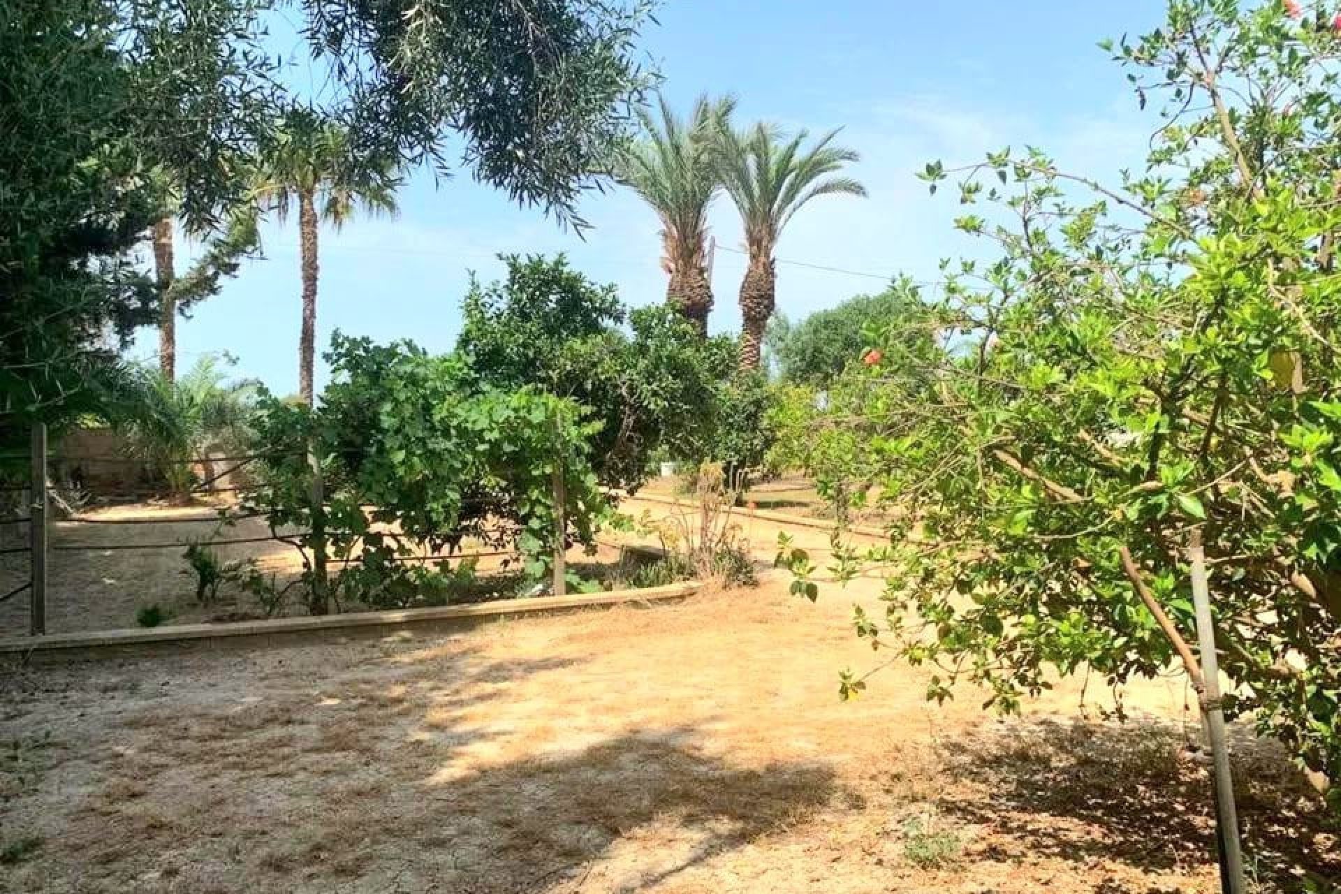 Sale - Finca - Los Alcázares
