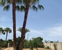 Sale - Finca - Los Alcázares