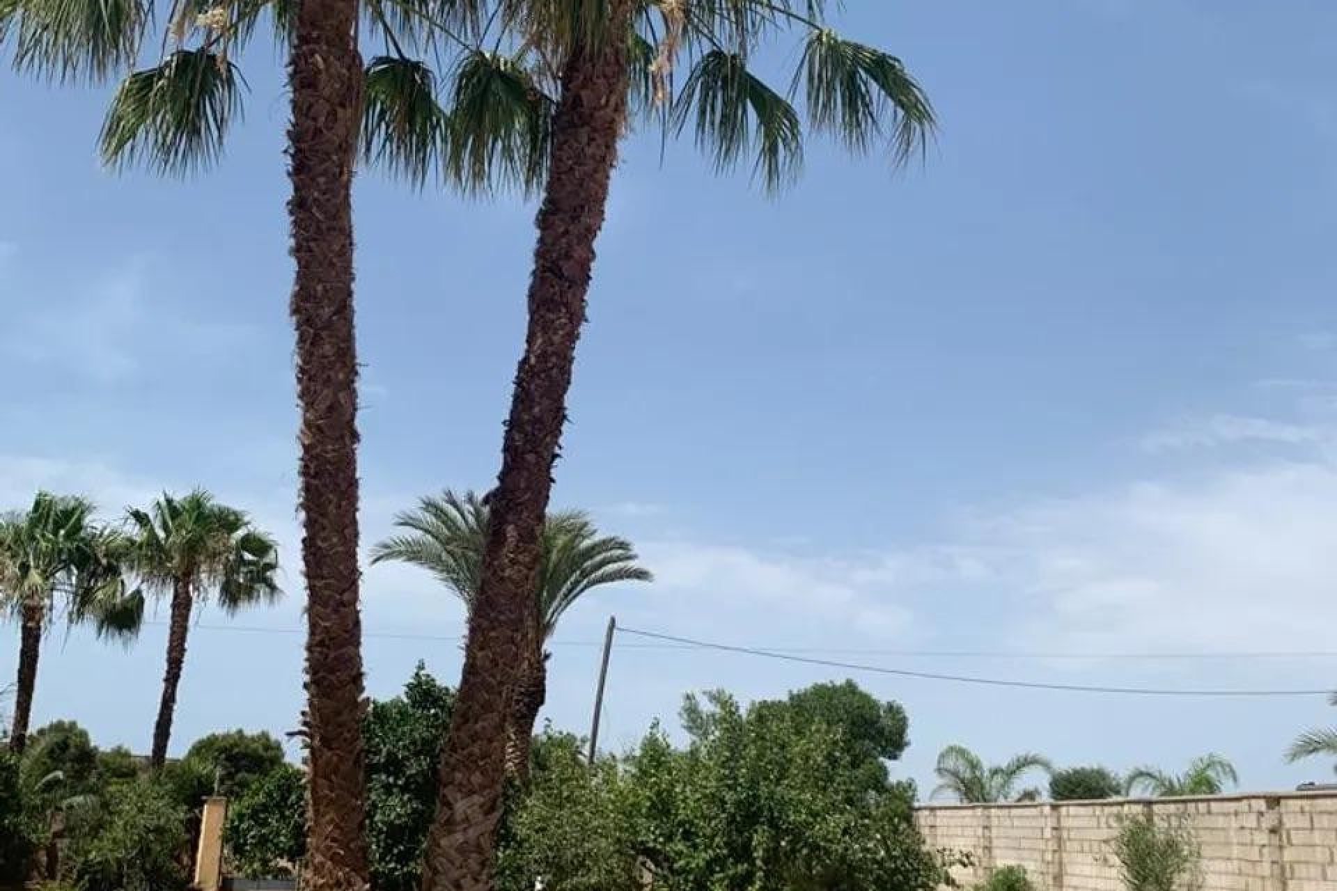 Sale - Finca - Los Alcázares