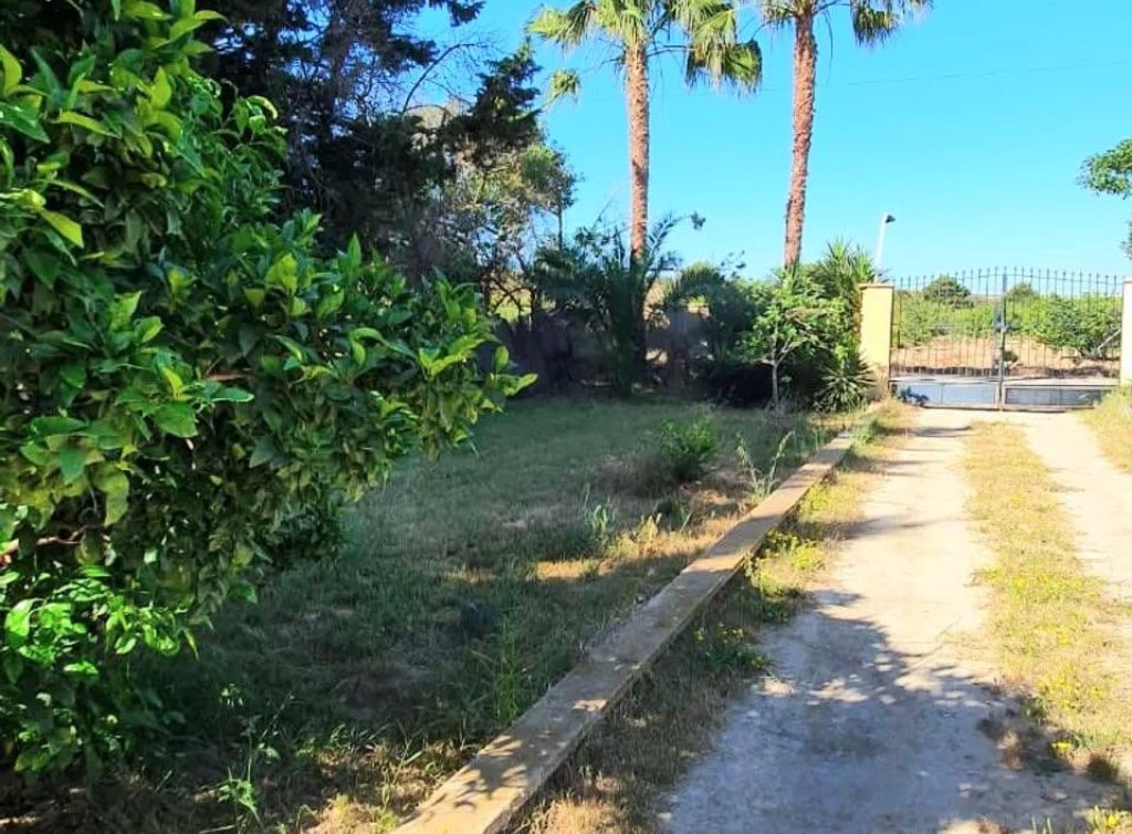 Sale - Finca - Los Alcázares