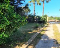 Sale - Finca - Los Alcázares