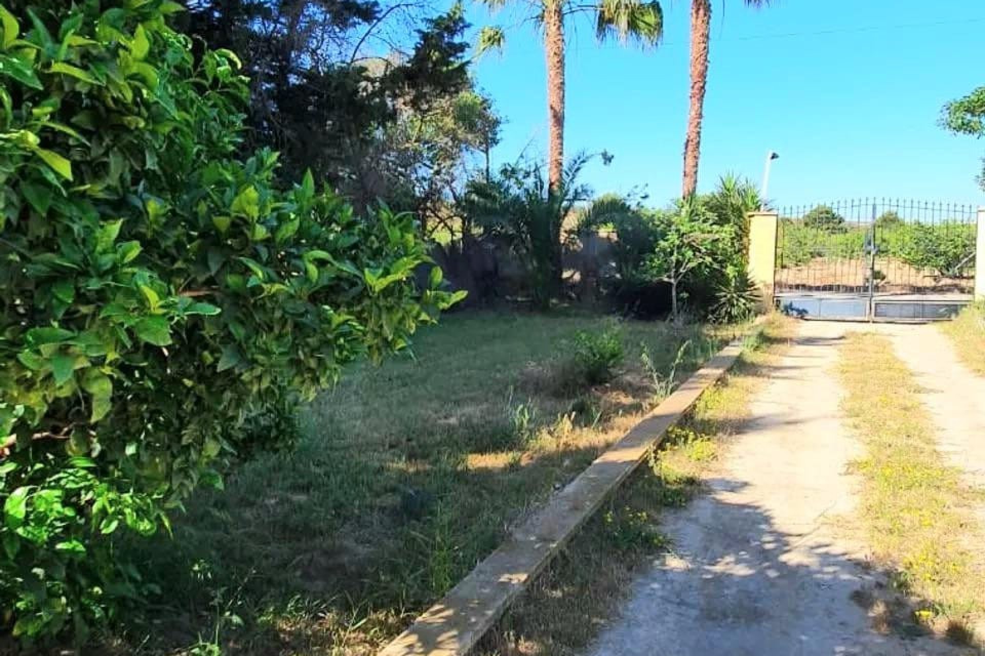 Sale - Finca - Los Alcázares