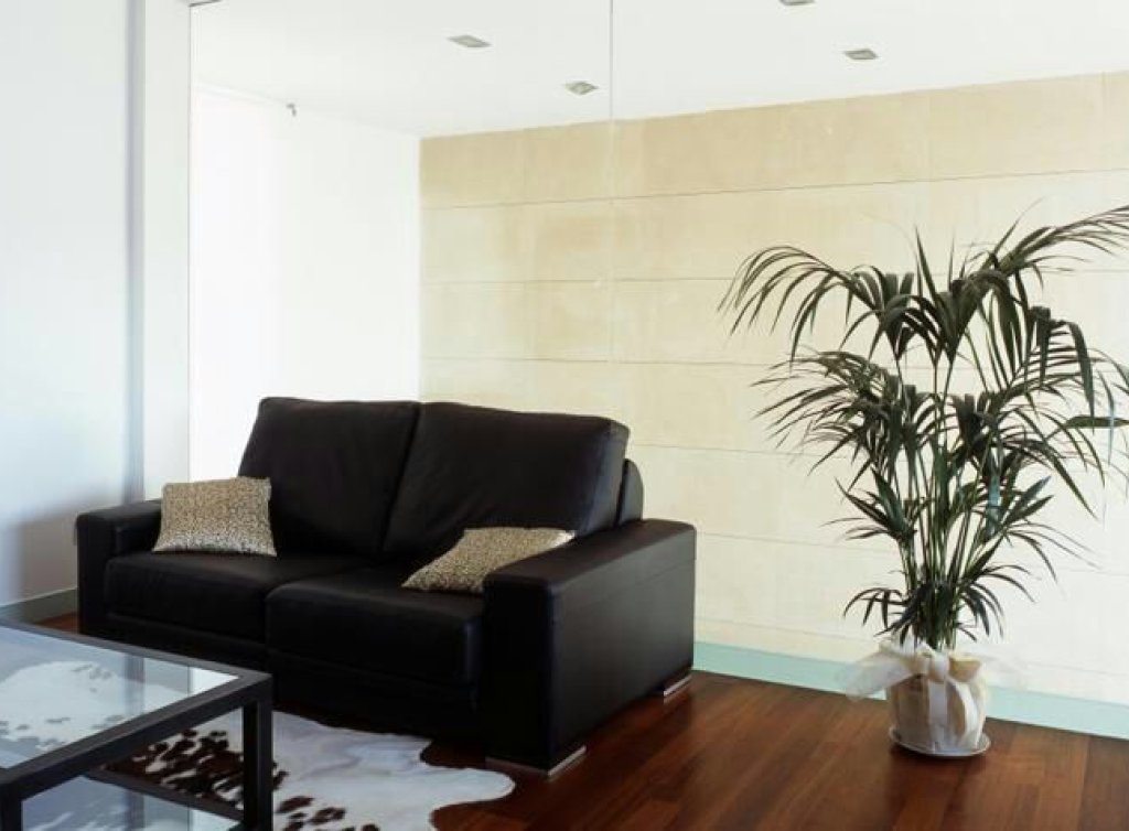Sale - Finca - Torre Pacheco - Mar Menor