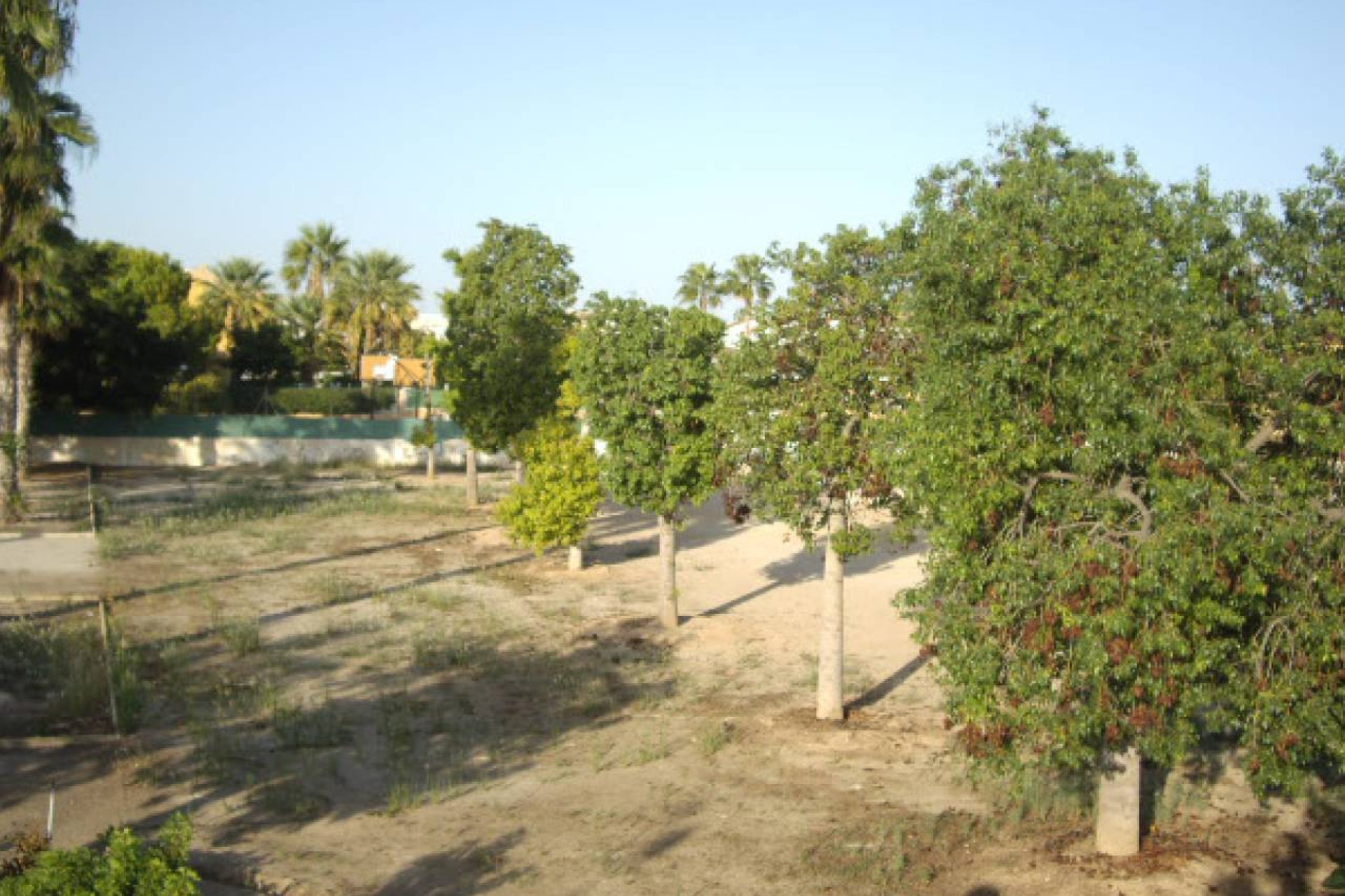 Sale - Planta baja - Los Alcázares - 