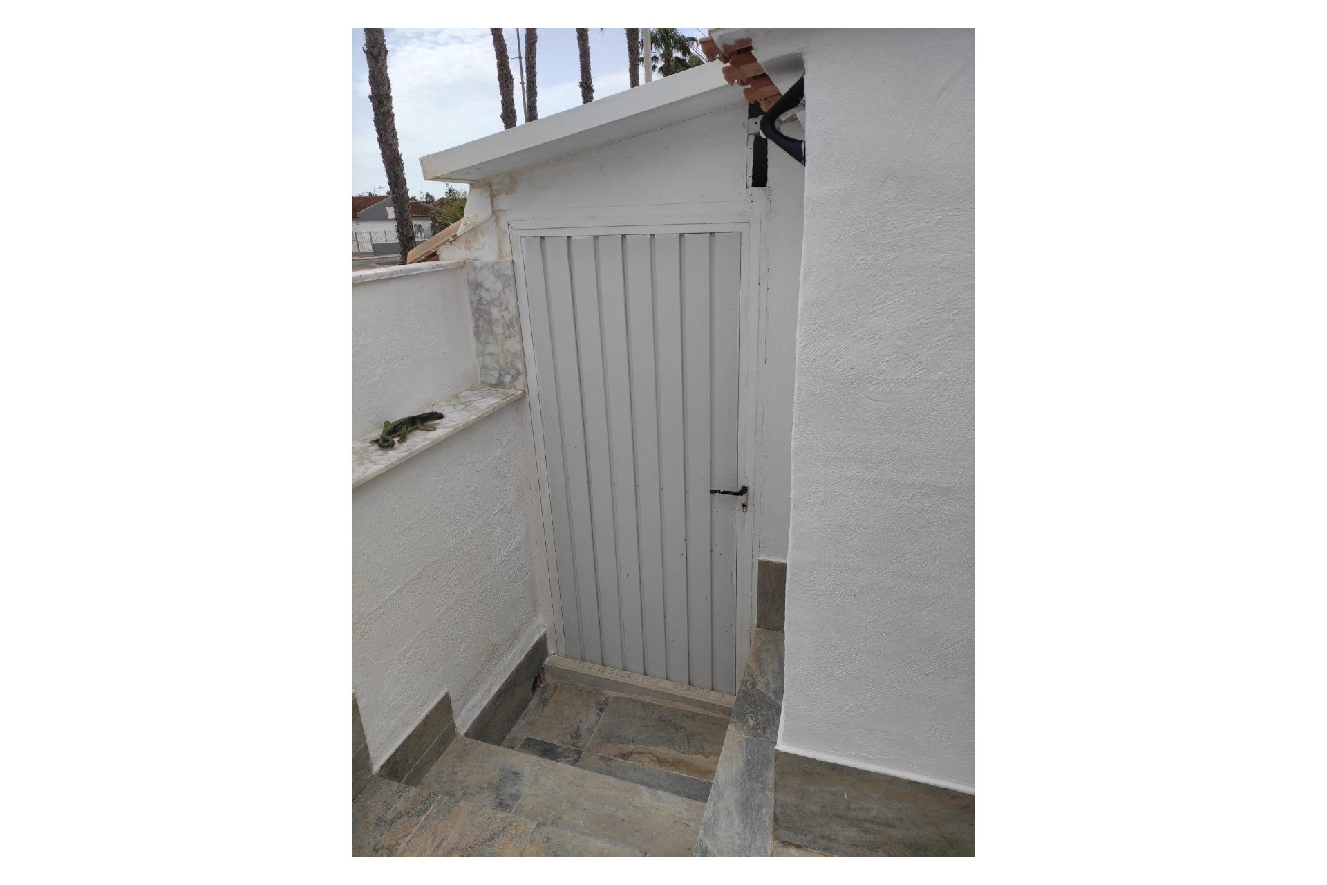 Sale - Planta baja - Los Alcázares