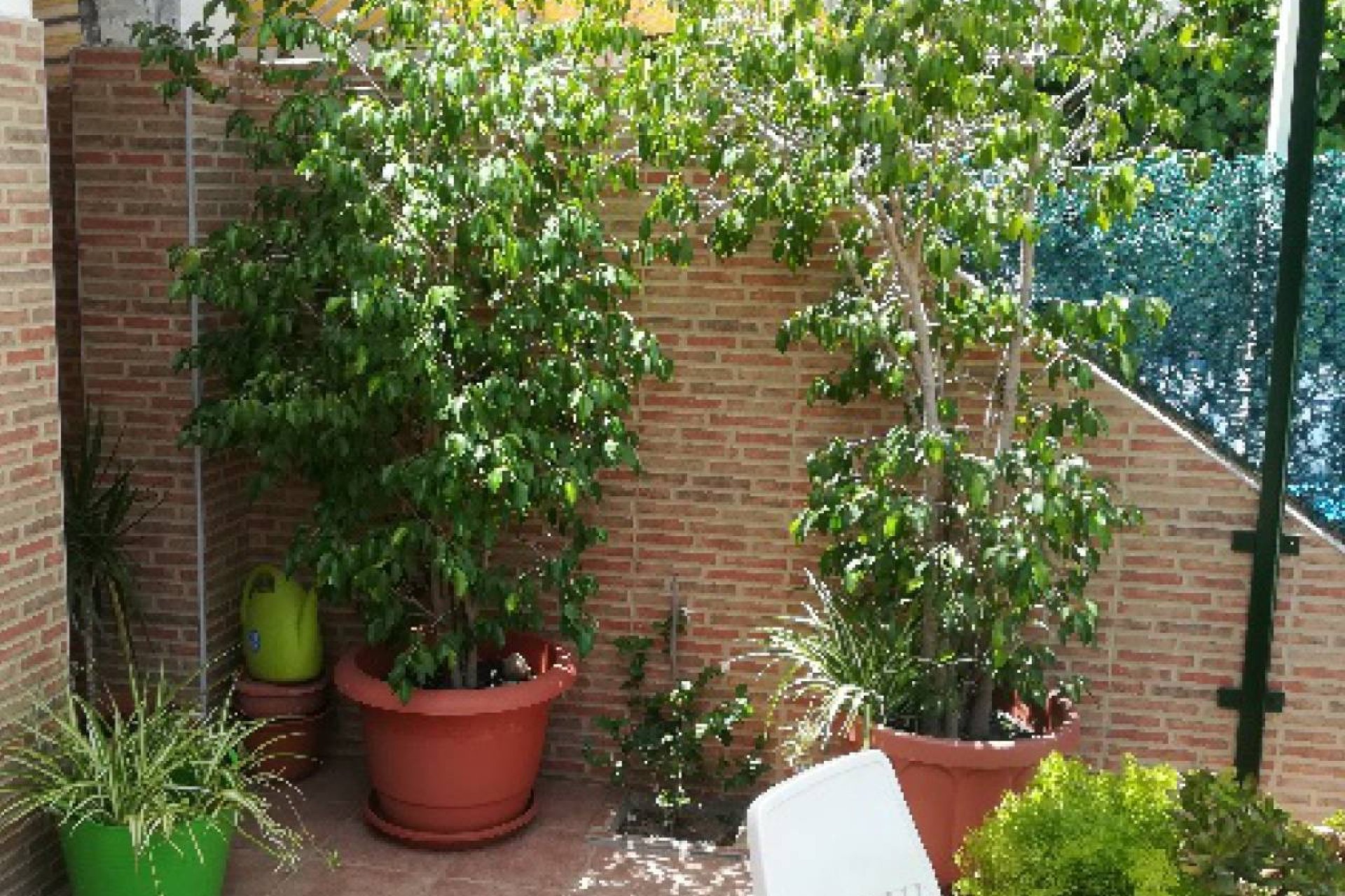 Sale - Townhouse - Los Alcázares