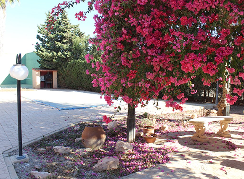 Sale - Villa - Los Alcázares - Fuera de Los Alcazares