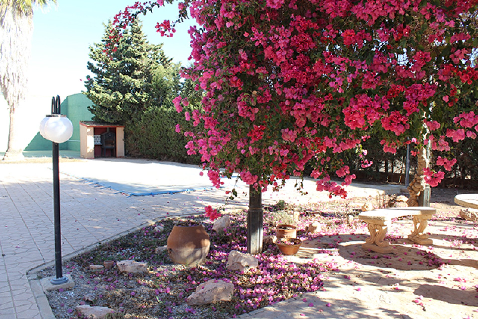 Sale - Villa - Los Alcázares - Fuera de Los Alcazares
