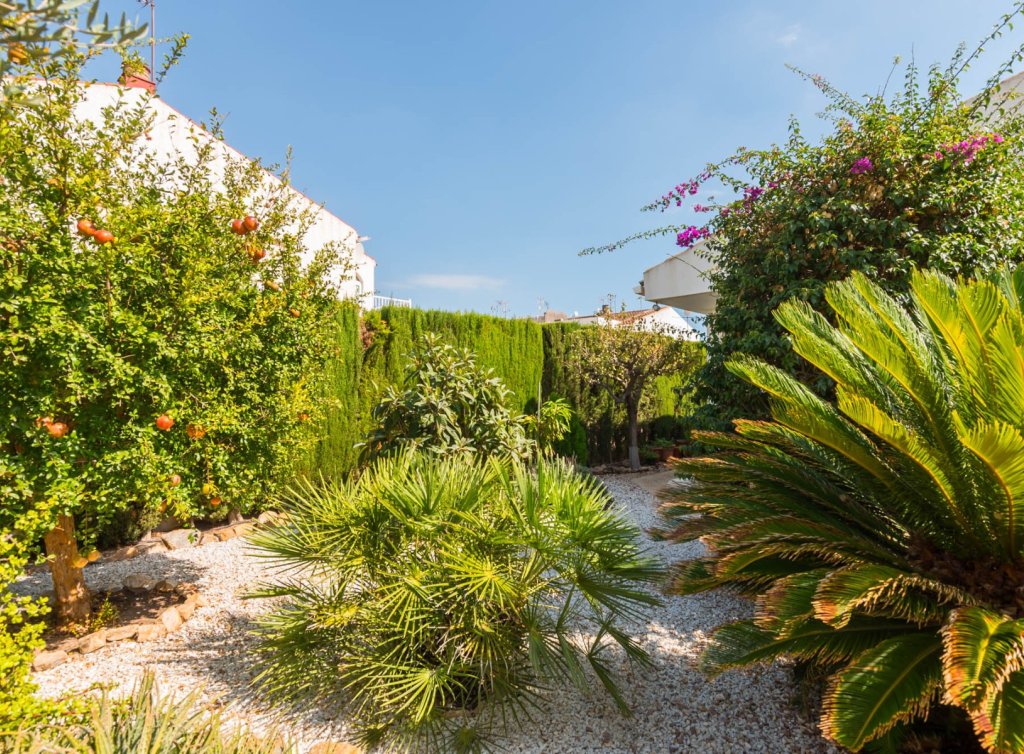 Sale - Villa - Los Alcázares