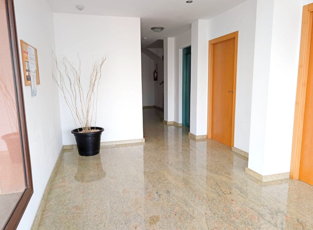 Venta - Apartamento - Los Alcázares - Lomas del Rame