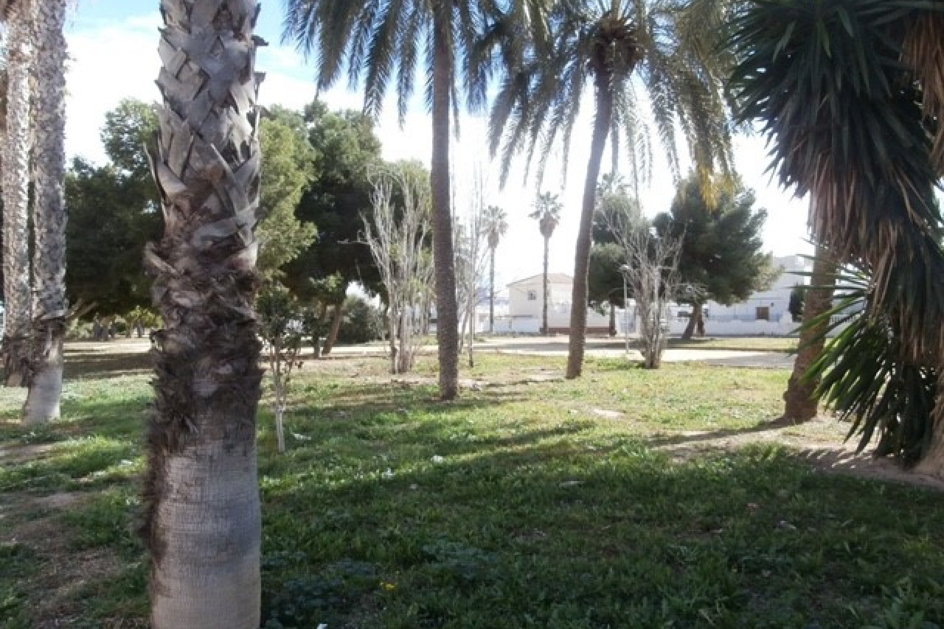 Venta - Apartamento - Los Alcázares - Los Narejos