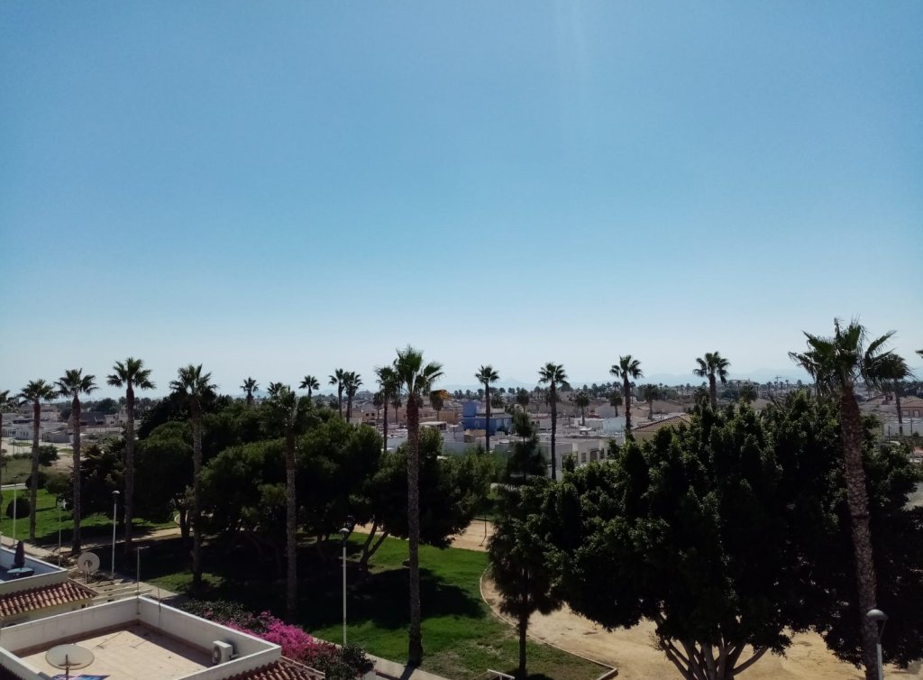 Venta - Apartamento - Los Alcázares - Oasis