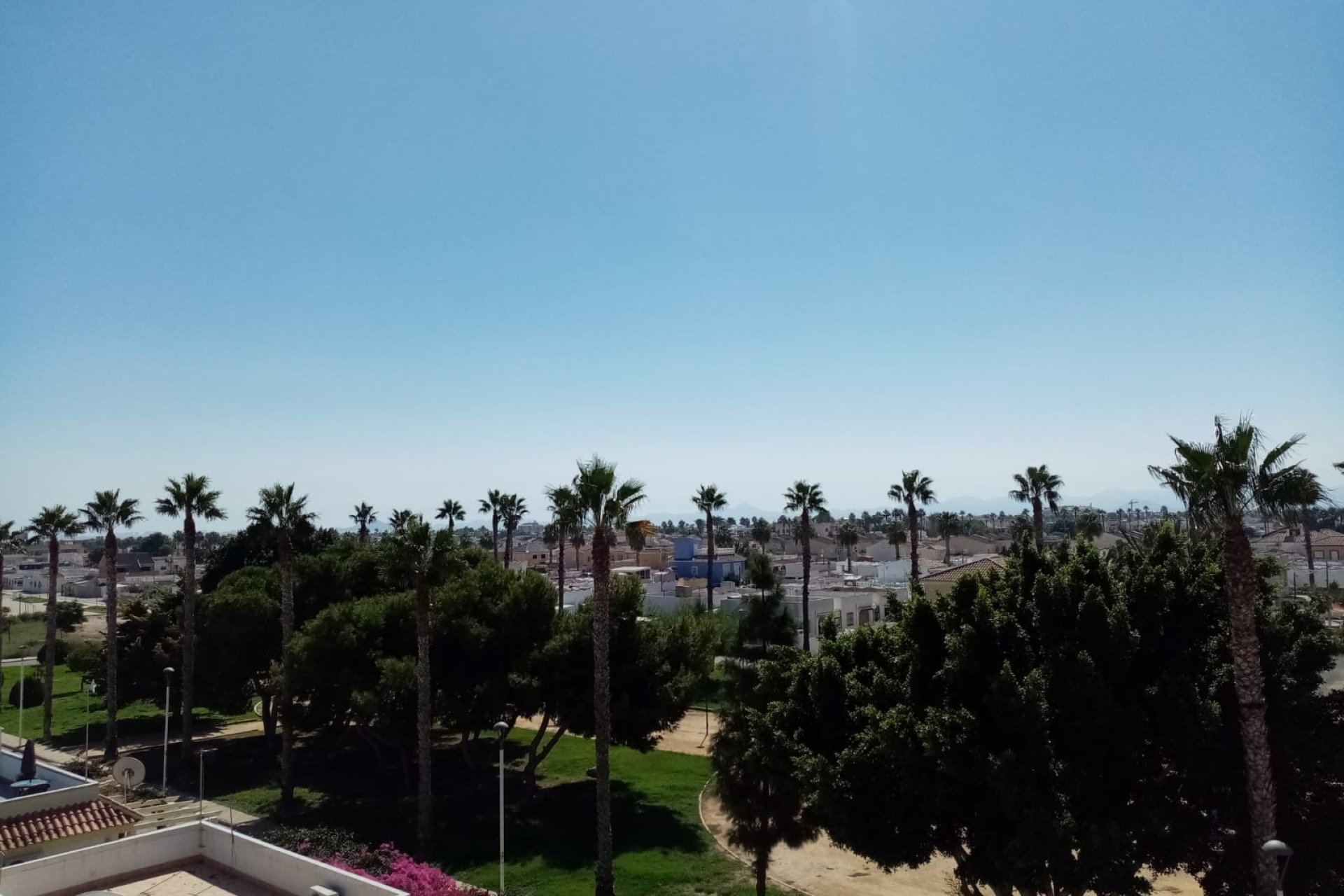 Venta - Apartamento - Los Alcázares - Oasis
