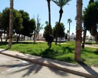Venta - Apartamento - Los Alcázares - Oasis