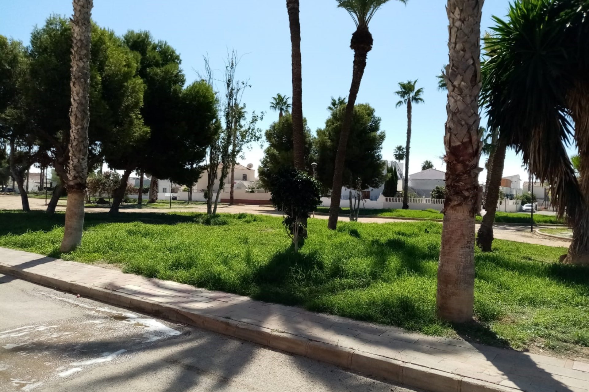 Venta - Apartamento - Los Alcázares - Oasis