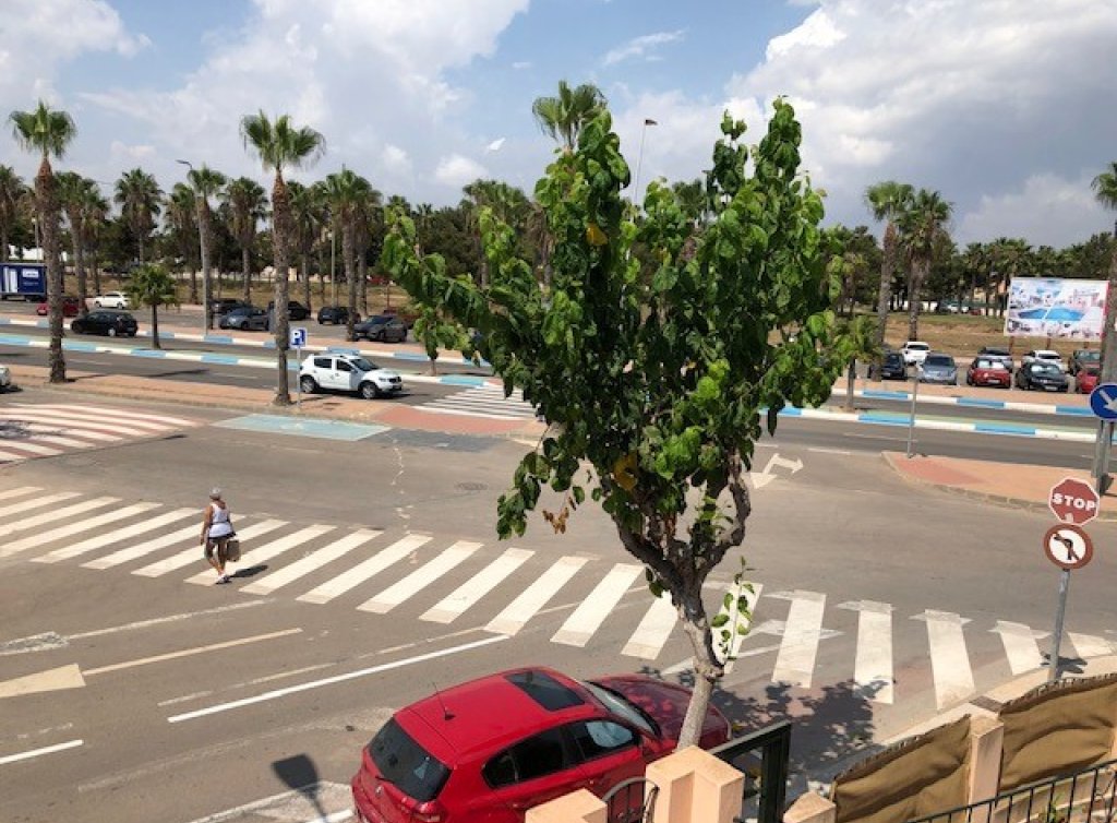 Venta - Apartamento - Los Alcázares - Square