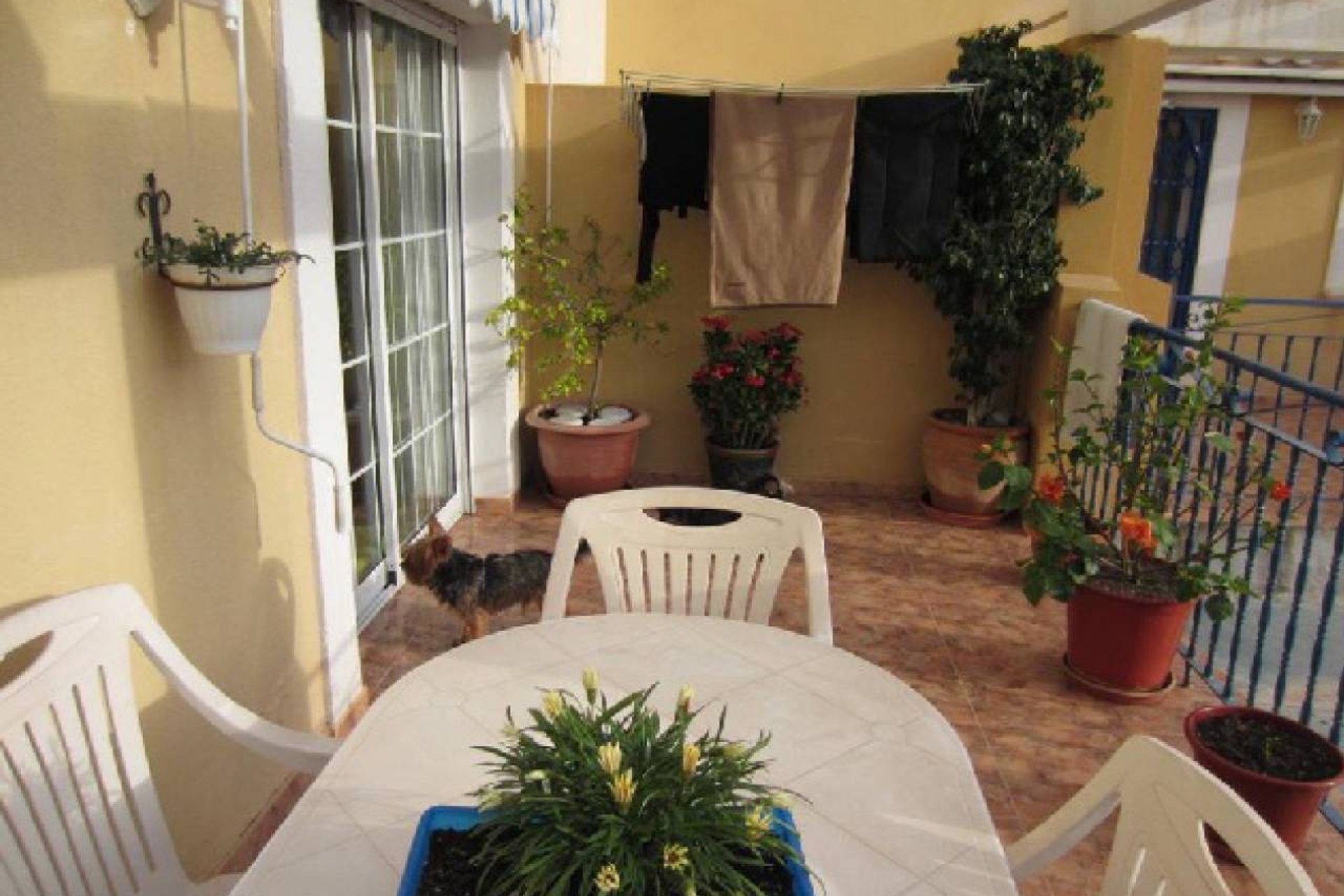 Venta - Apartamento - Los Alcázares