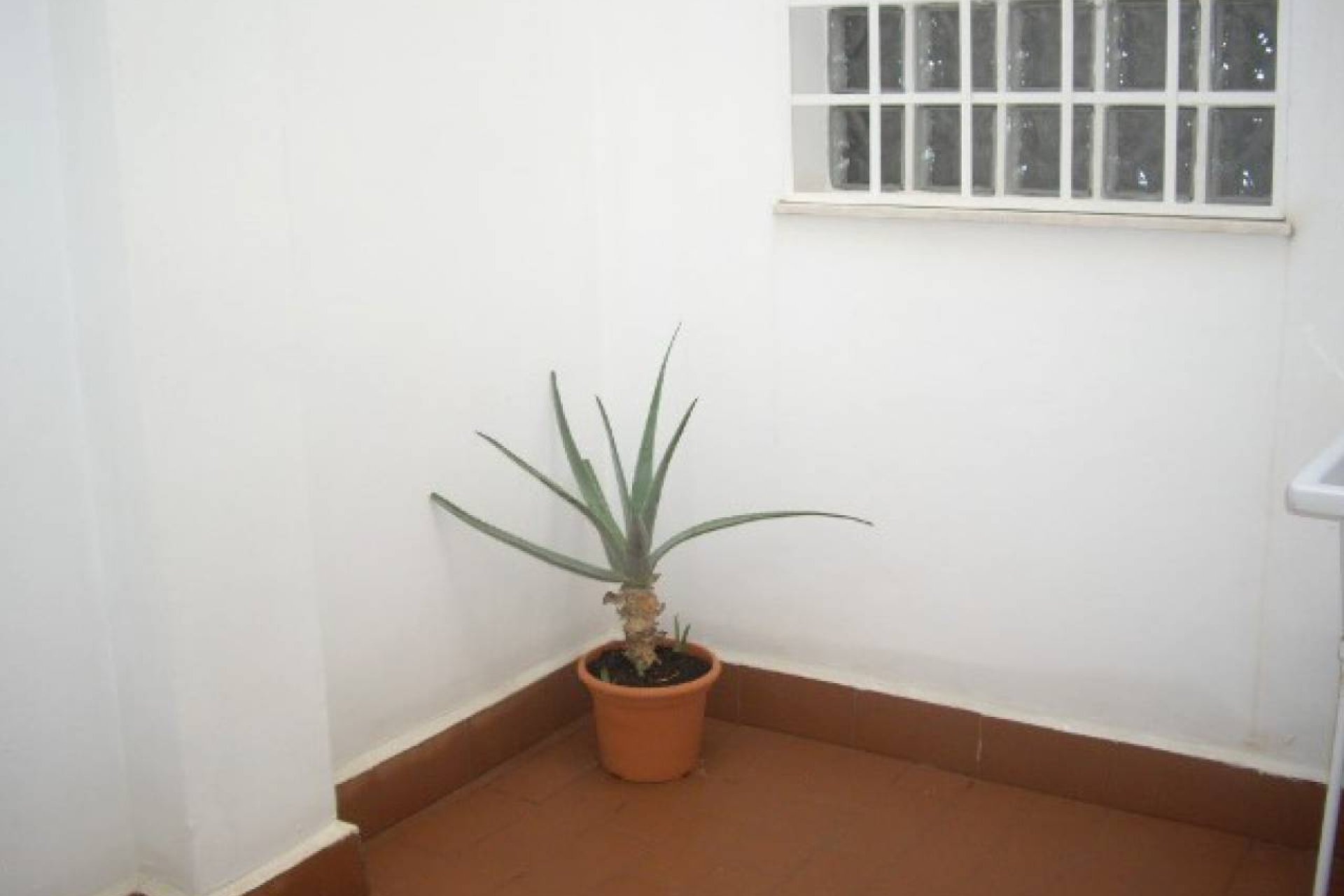 Venta - Apartamento - Los Alcázares
