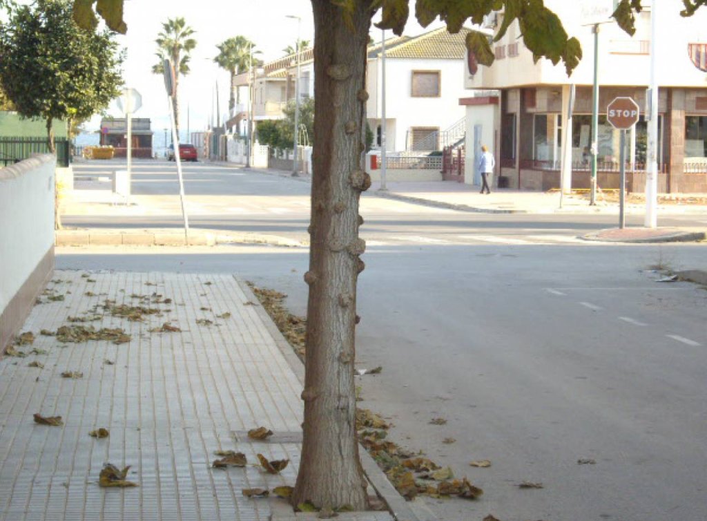 Venta - Apartamento - Los Alcázares