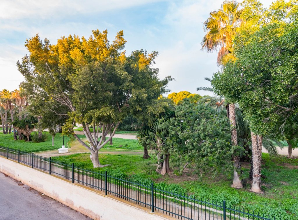 Venta - Apartamento - Los Alcázares