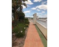 Venta - Apartamento - Los Alcázares