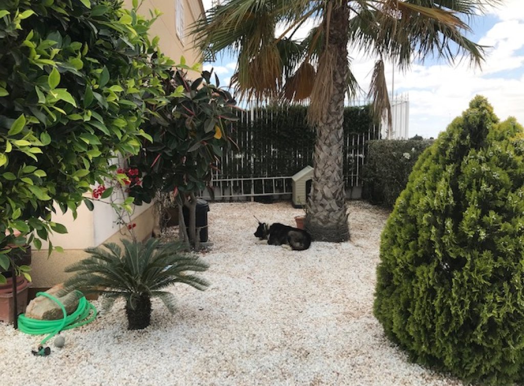 Venta - Apartamento - Los Alcázares