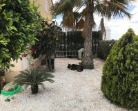 Venta - Apartamento - Los Alcázares