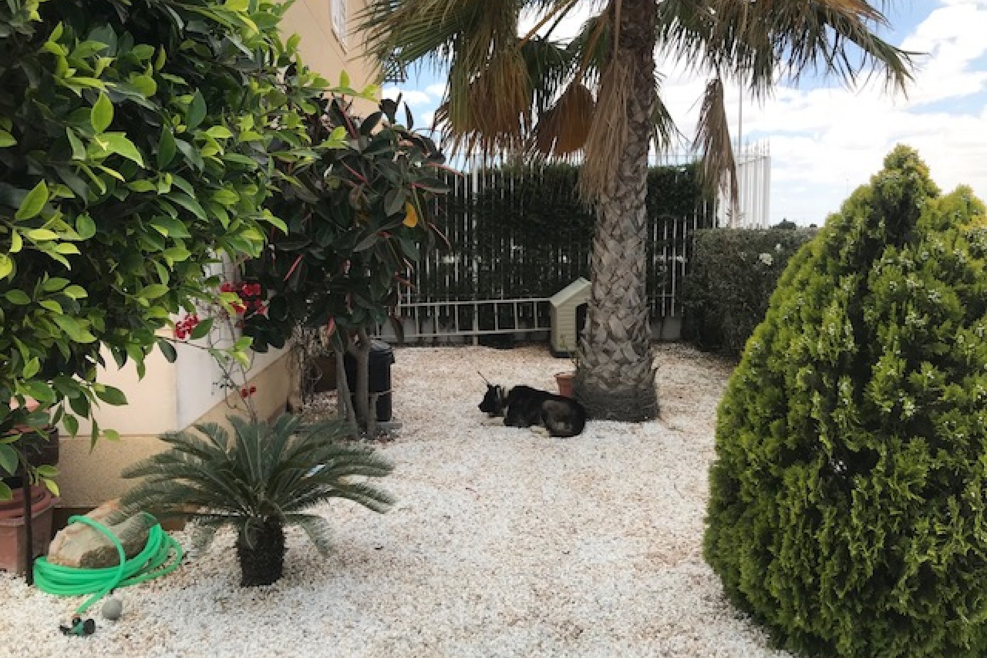 Venta - Apartamento - Los Alcázares