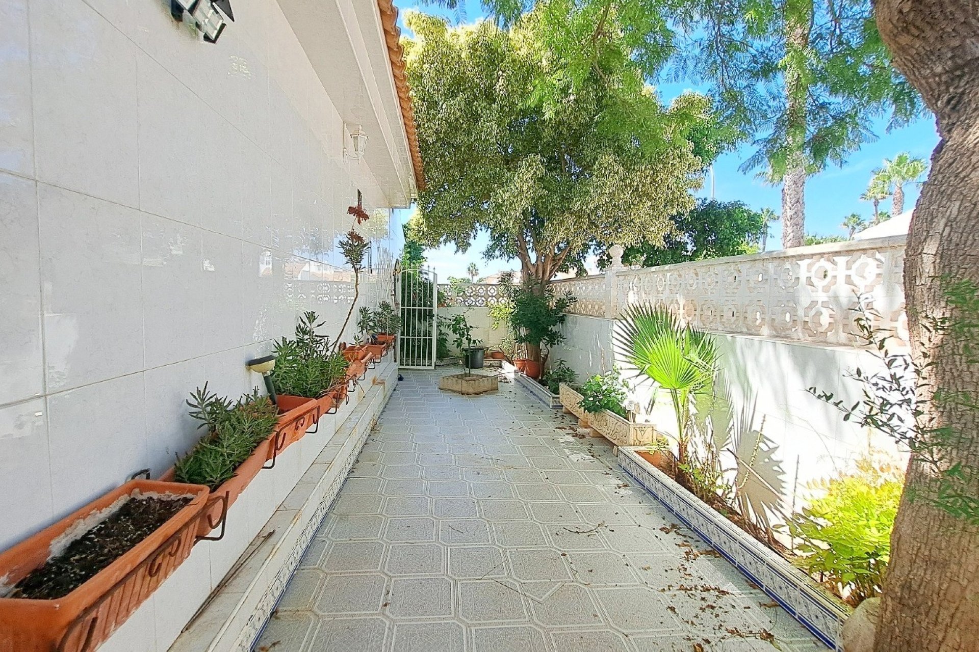 Venta - Bungalow - Los Alcázares