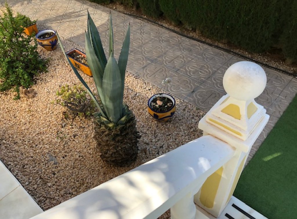 Venta - Chalet - Los Alcázares - Oasis