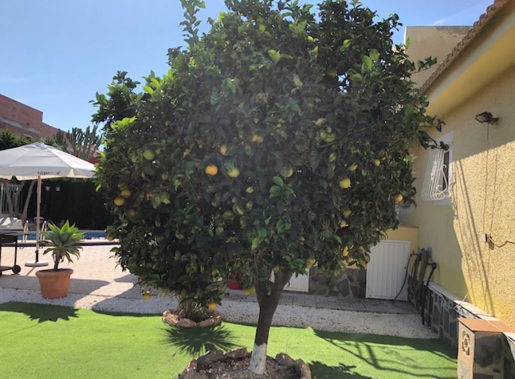 Venta - Chalet - Los Alcázares - Oasis