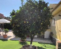Venta - Chalet - Los Alcázares - Oasis