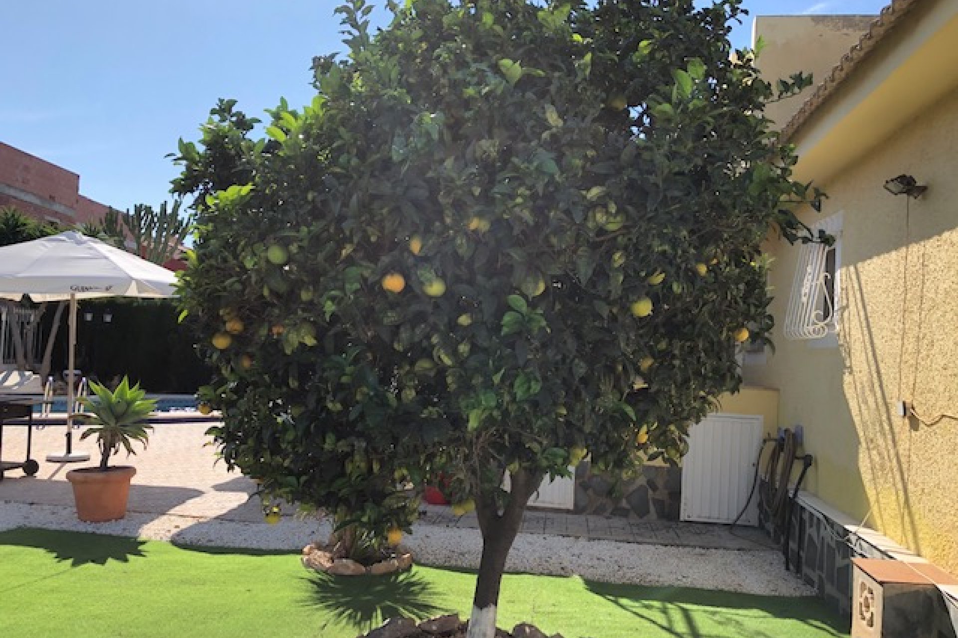 Venta - Chalet - Los Alcázares - Oasis