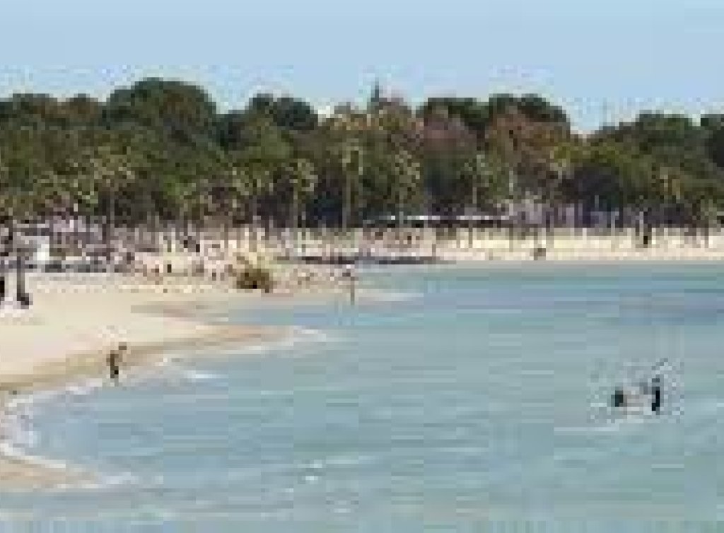 Venta - Comercial - Los Alcázares