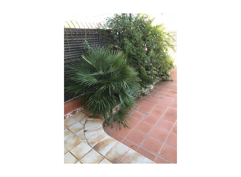 Venta - Duplex - Los Alcázares - Center