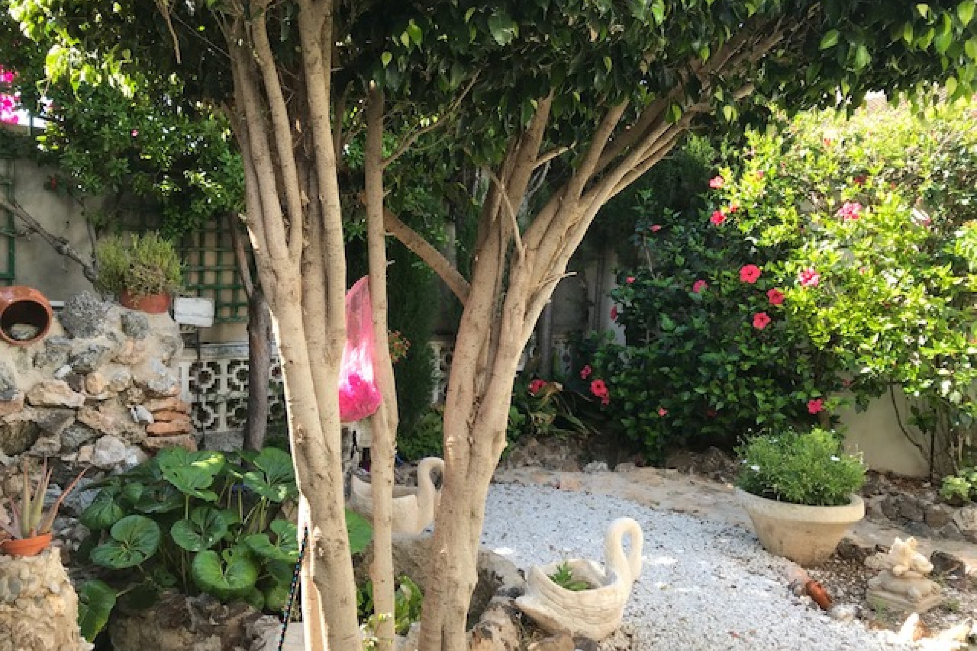 Venta - Duplex - Los Alcázares